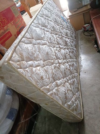 ที่นอนสามฟุต รูปที่ 4