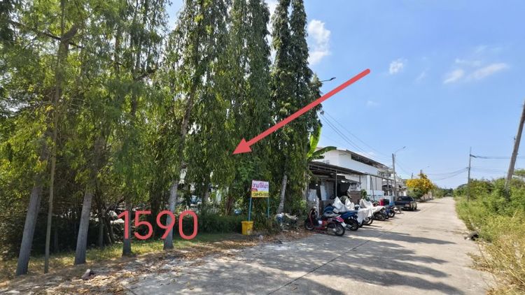 ขายเช่า ที่ดิน บึงมะขามเทศ ซ.ประชาร่วมใจ 45 รูปที่ 3