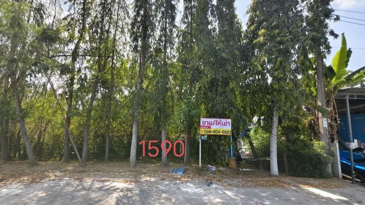 ขายเช่า ที่ดิน บึงมะขามเทศ ซ.ประชาร่วมใจ 45 รูปที่ 4