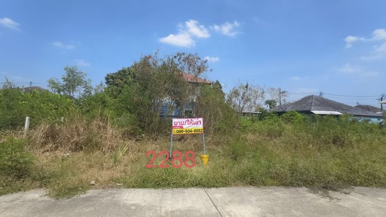 ขายเช่า ที่ดิน บึงมะขามเทศ ซ.ประชาร่วมใจ 45