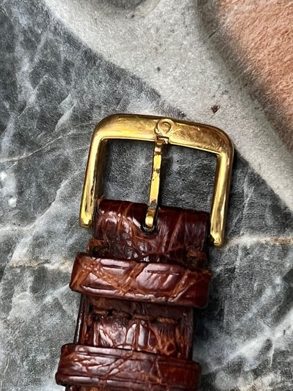 omega  รูปที่ 4