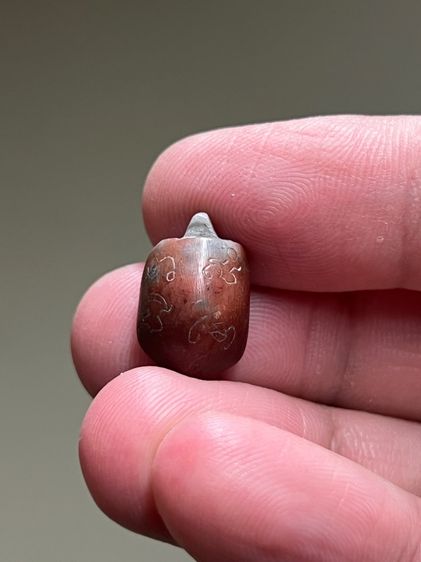 เต่าหลวงพ่อสนิท วัดลำบัวลอย