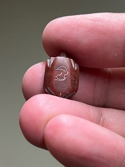 เต่าหลวงพ่อสนิท วัดลำบัวลอย รูปที่ 2