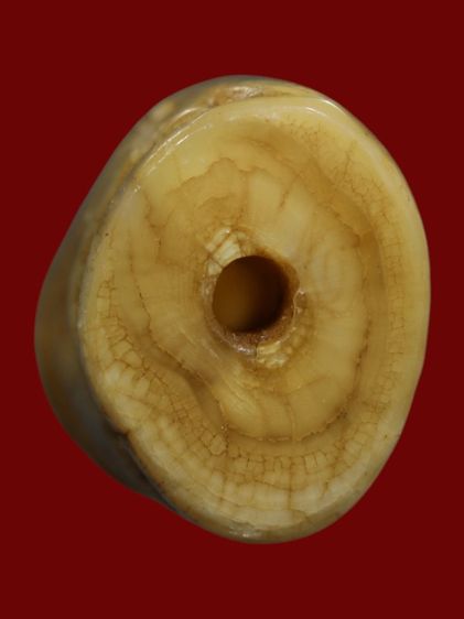 ส. หลวงพ่อปานวัดคลองด่านจังหวัดสมุทรปราการ รูปที่ 5