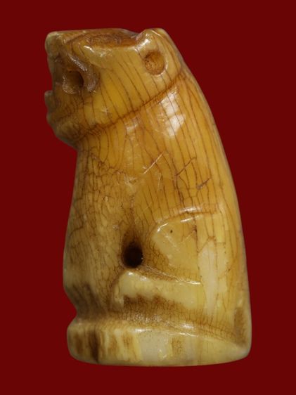 ส. หลวงพ่อปานวัดคลองด่านจังหวัดสมุทรปราการ