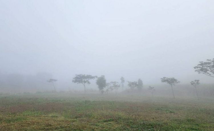 ใช่ ขายที่ดินราคาถูก รูปที่ 2