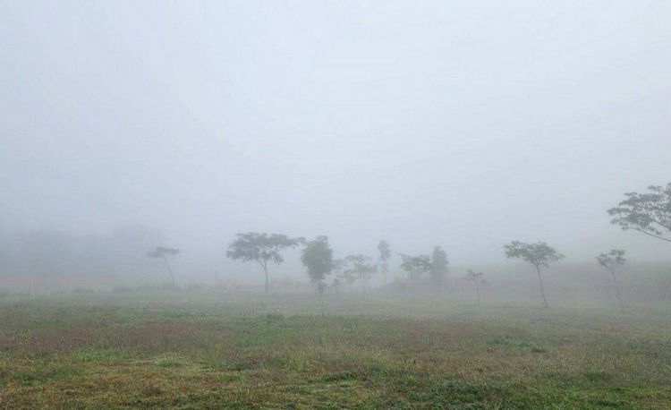 ใช่ ขายที่ดินราคาถูก รูปที่ 2