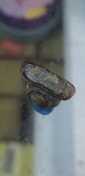 ปิดตาหลวงปู่ยิ้ม​ พิมพ์สังขจาย​ ลงรักเก่า​ เนื้อจัดจ้าน​ วัดหนองบัวจ.กาญจนบุรี รูปที่ 11