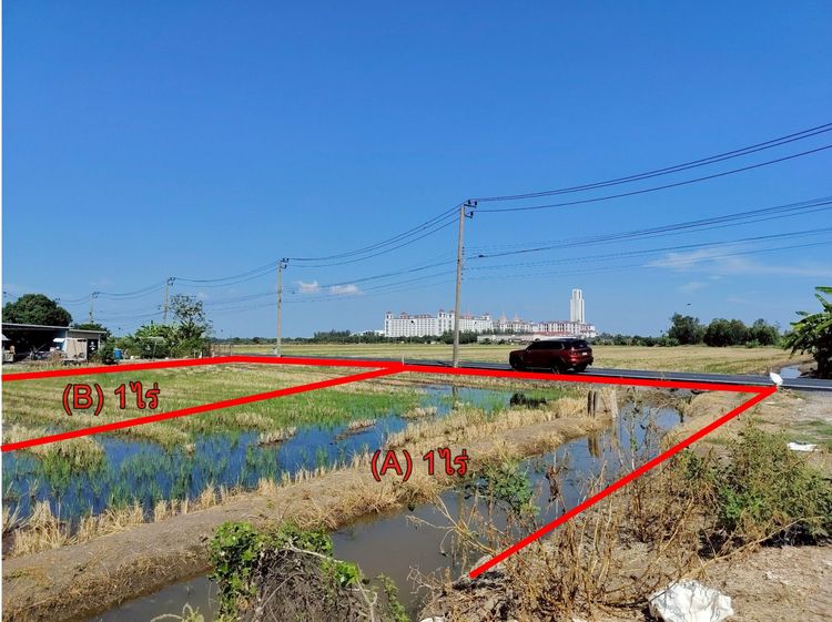 ที่ดิน บางเสาธง สมุทรปราการ ซอยเอแบค บางนาการ์เด้นซอย7 (เจ้าของขายเอง) ติดถนน ติดคลอง ไกล้มหาวิทยาลัยอัสสัมชัญ ABAC เอแบค