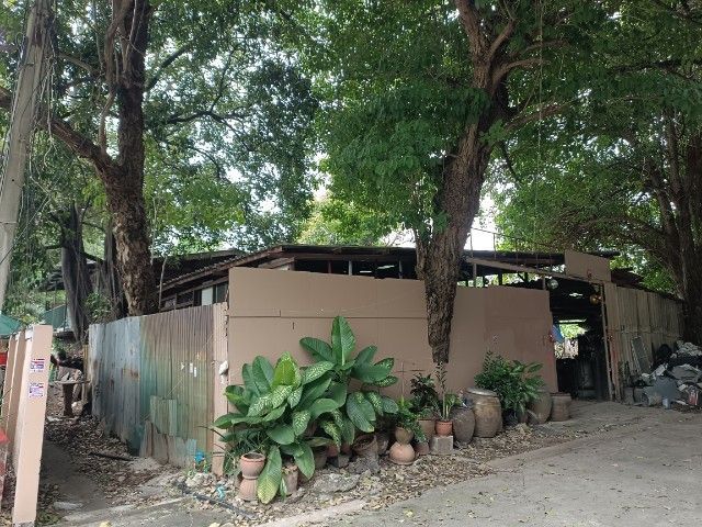 ขายที่ดินบางหว้า