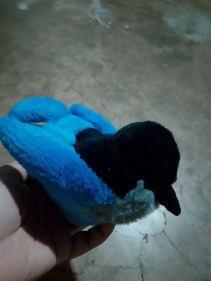 เค้กเเละนก