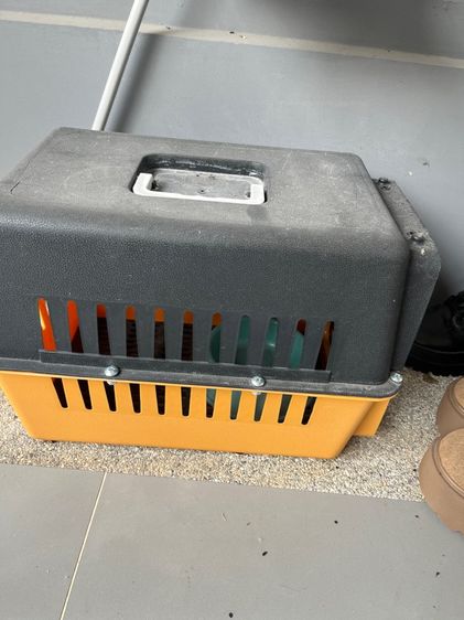 กรงหมาเล็ก