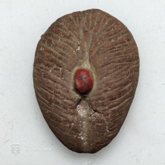 แม่โยนี เนื้อดินเก่า 