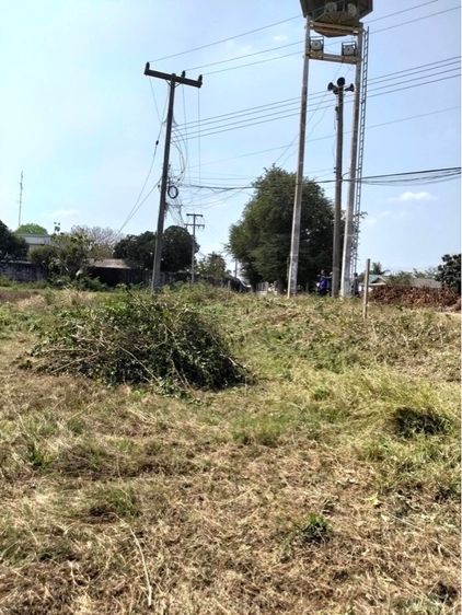 ที่ดิน รูปที่ 3