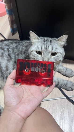 เทปคาสเซ็ท เสก โลโซ รูปที่ 5