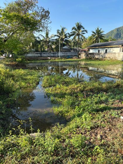 ขายที่ดินเปล่า ใกล้ตลาดสด รูปที่ 2