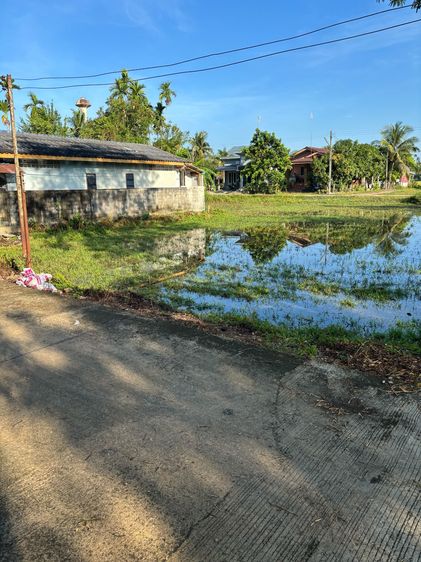 ขายที่ดินเปล่า ใกล้ตลาดสด รูปที่ 4