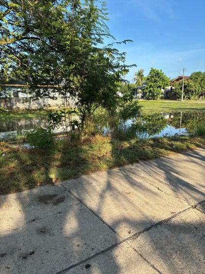 ขายที่ดินเปล่า ใกล้ตลาดสด รูปที่ 3