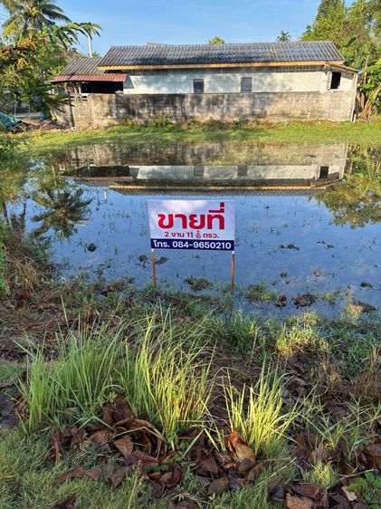 ขายที่ดินเปล่า ใกล้ตลาดสด