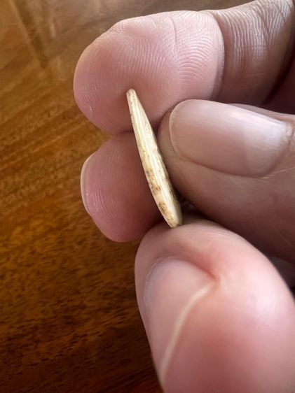 นางกวักเนื้อพลาสติกหลวงพ่อเดิม รูปที่ 5