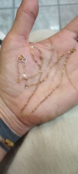 สร้อยเงิน รูปที่ 5