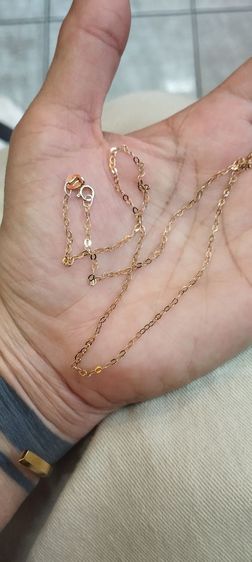 สร้อยเงิน รูปที่ 6