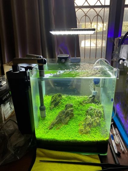 ตู้ปลา รูปที่ 2