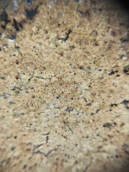 พระสมเด็จสวยๆสภาพดีครับ รูปที่ 14