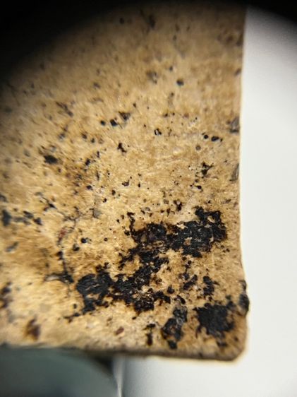 พระสมเด็จสวยๆสภาพดีครับ รูปที่ 13