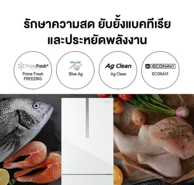 ตู้เย็น 2 ประตู Panasonic (14.8 คิว) รูปที่ 4