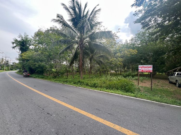 ขายที่ดิน อำเภอเมือง นครศรีธรรมราช รูปที่ 2