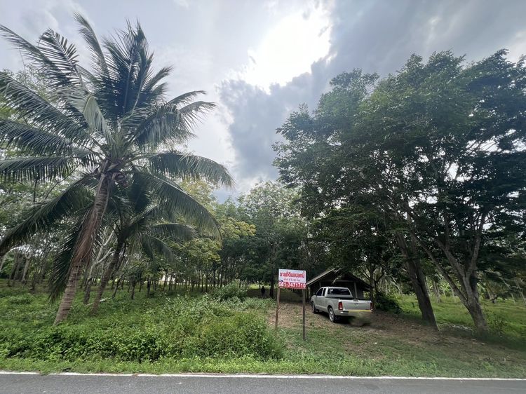 ขายที่ดิน อำเภอเมือง นครศรีธรรมราช รูปที่ 4