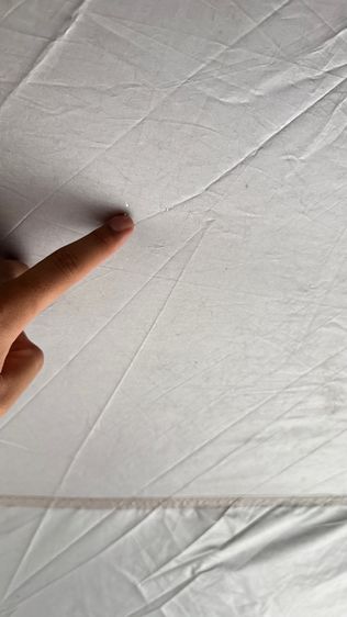 shine trip dome รูปที่ 5