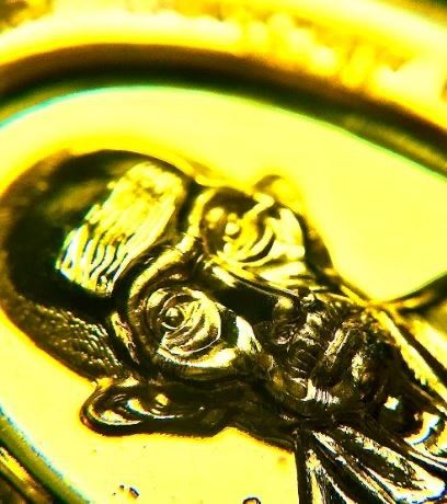 เนื้อทองคำ หลวงพ่อรวย รูปที่ 3