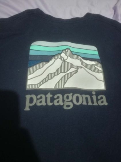 เสื้อยืดPatagonia มือสอง สภาพดีมาก สกรีนไม่แตกไม่ร้าว รูปที่ 2