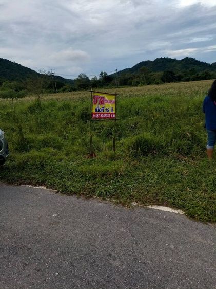 ประกาศขายที่ดิน