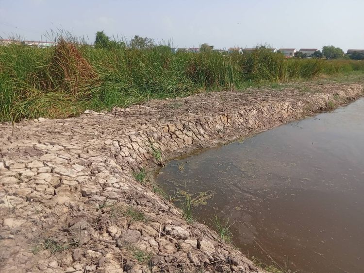 ขายที่ดินเปล่า 2 ไร่ ติดถนนคอนกรีต อยู่ในซอยเทศบาลบางปู 83 รูปที่ 4