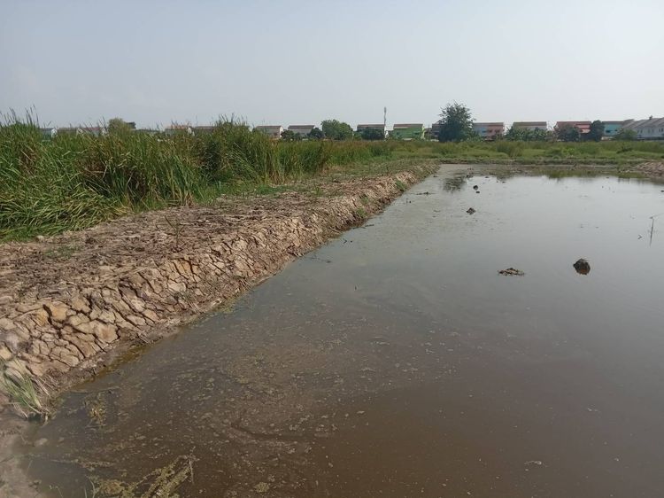 ขายที่ดินเปล่า 2 ไร่ ติดถนนคอนกรีต อยู่ในซอยเทศบาลบางปู 83 รูปที่ 2