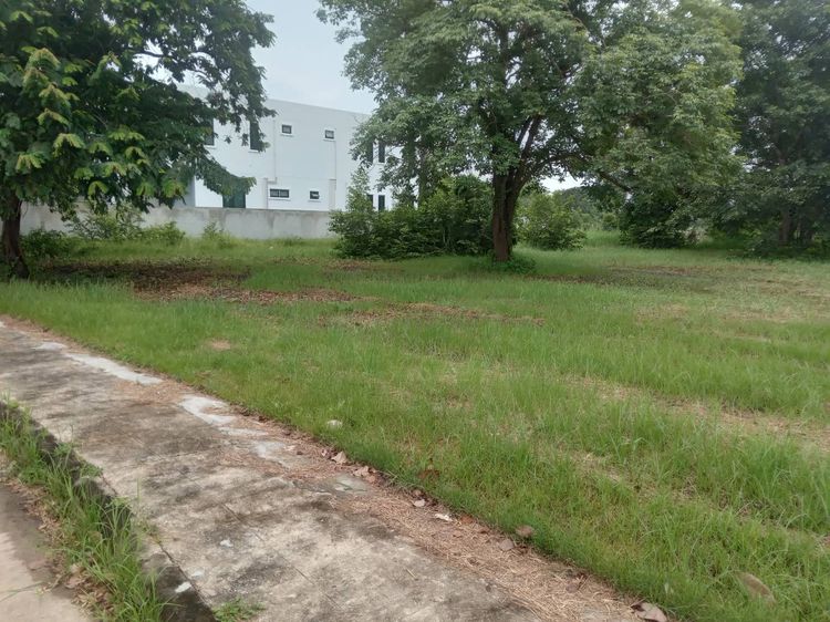 ขายที่ดินเปล่าติดทะเลสาบขนาดใหญ่ พื้นที่ 235 ตารางวา อยู่ในโครงการหมู่บ้านเดอะลากูน รูปที่ 2