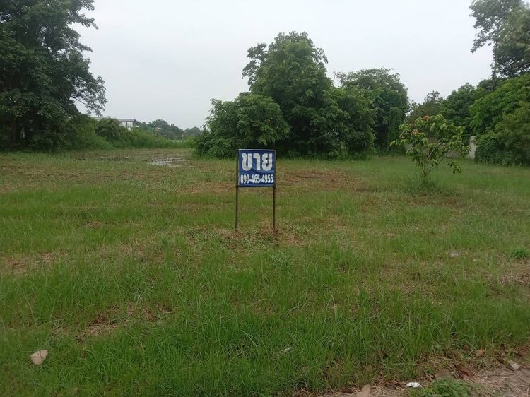 ขายที่ดินเปล่าติดทะเลสาบขนาดใหญ่ พื้นที่ 235 ตารางวา อยู่ในโครงการหมู่บ้านเดอะลากูน รูปที่ 3