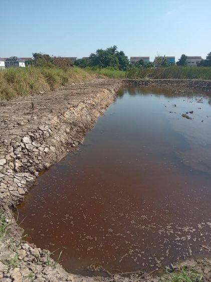 ขายที่ดินเปล่า 525 ตรว. ติดถนนคอนกรีต อยู่ในซอยเทศบาลบางปู 83 ตรงข้ามหมู่บ้านสิ รูปที่ 3