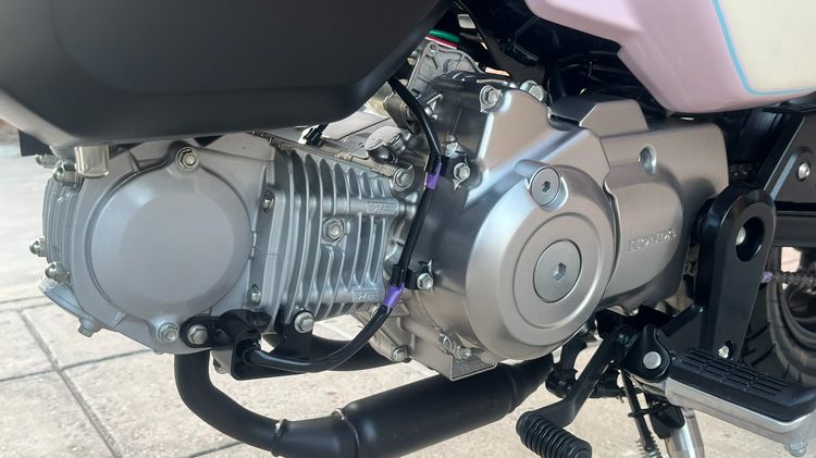 Monkey Easter egg ไมล์ 63 km. รูปที่ 13