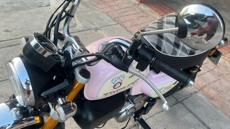 Monkey Easter egg ไมล์ 63 km. รูปที่ 17