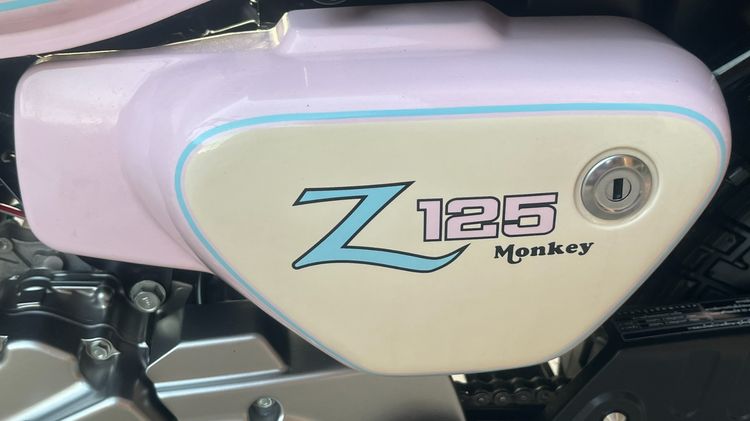 Monkey Easter egg ไมล์ 63 km. รูปที่ 8