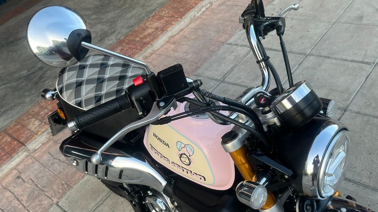 Monkey Easter egg ไมล์ 63 km. รูปที่ 16