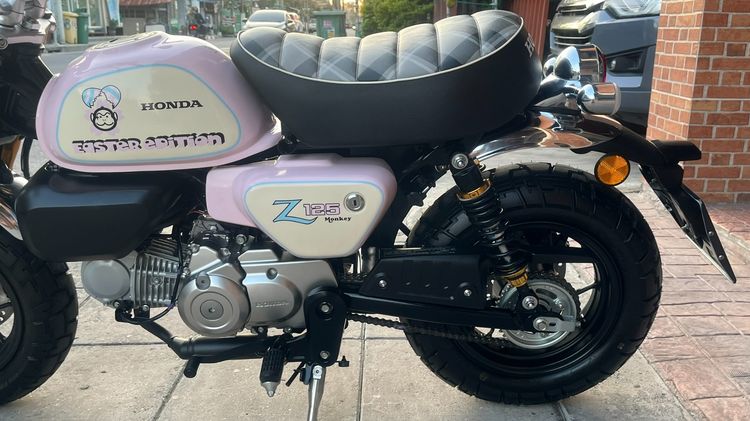 Monkey Easter egg ไมล์ 63 km. รูปที่ 14