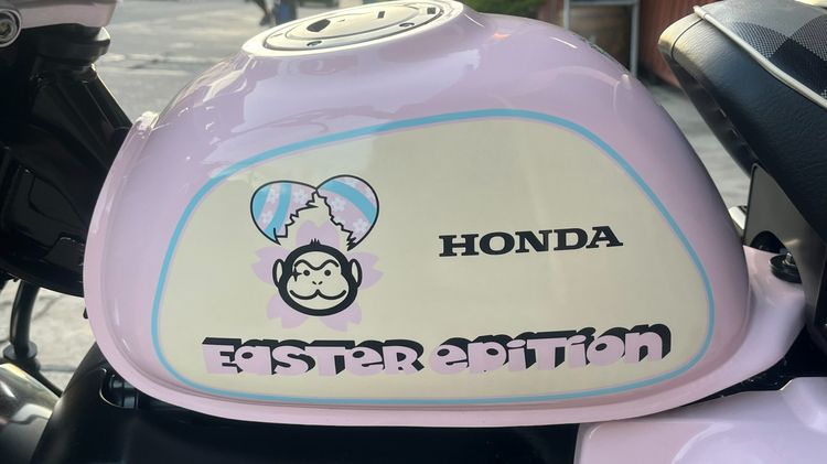 Monkey Easter egg ไมล์ 63 km. รูปที่ 7