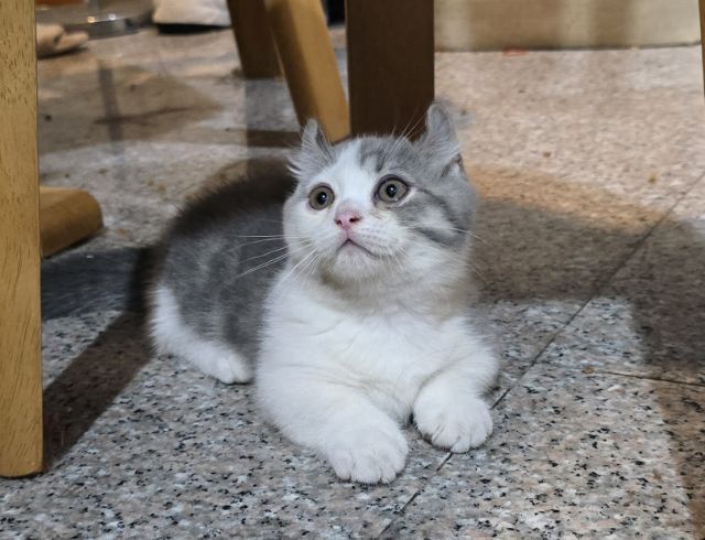มันชกิ้นชาย รูปที่ 4