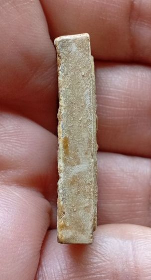 พระผงพระแก้วแจกทาน หลวงปู่หมุน ฐิตสีโล

ปี 2542 รูปที่ 8