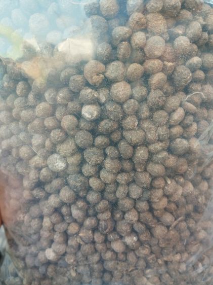 ปุ๋ยขี้กระต่ายออแกนิค รูปที่ 3